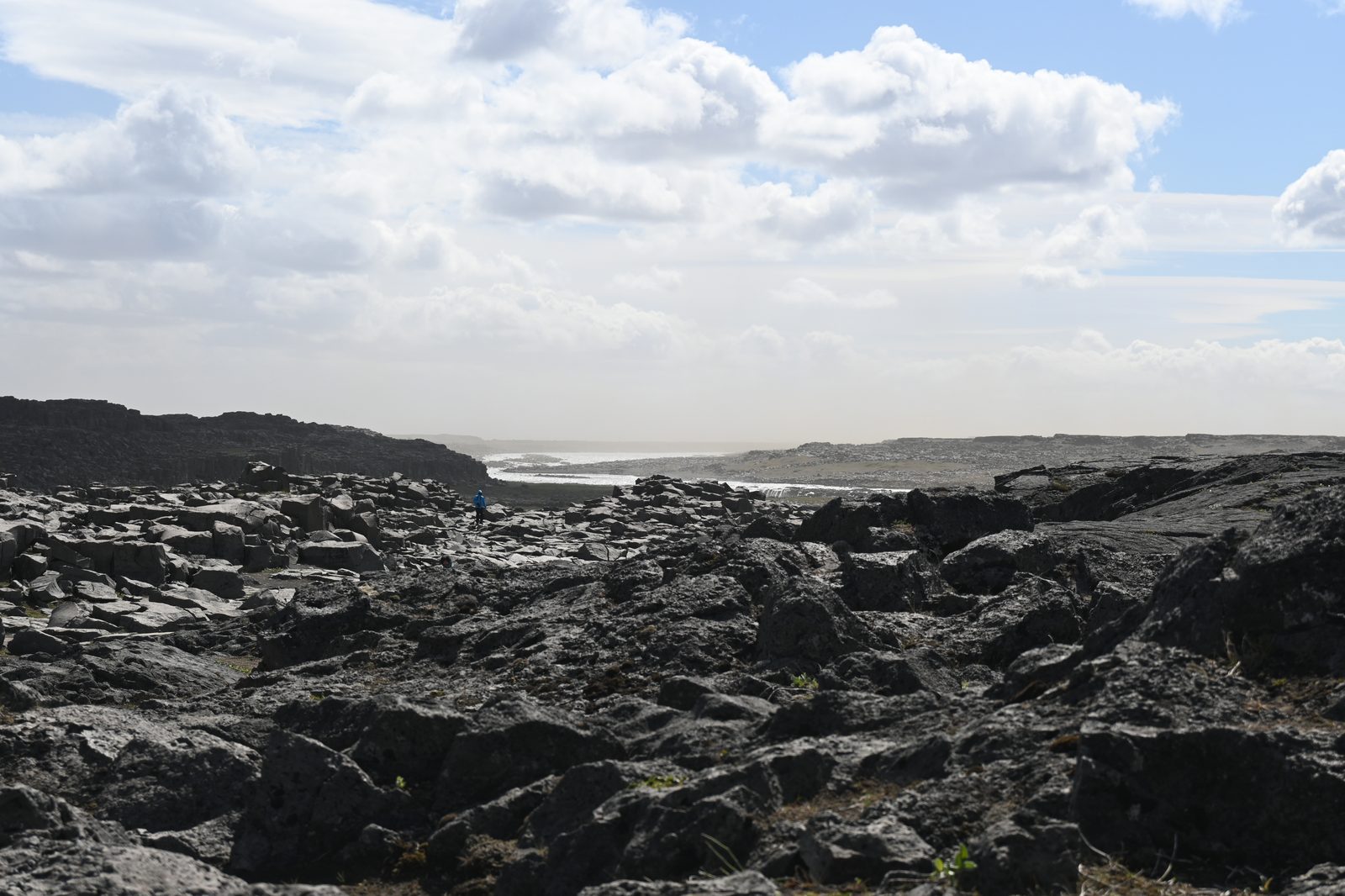DSC_7794.JPG